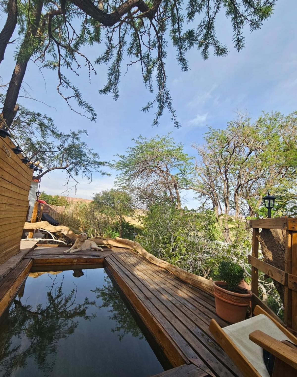 Anka Lodge Quitor 圣佩德罗·德·阿塔卡马 外观 照片